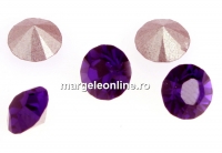 Swarovski, chaton SS24, purple velvet, 5.3mm - x4