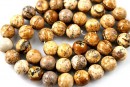 Picture jasper, round, 8.5mm