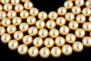 Perle Ideal premium, gold, 8mm - x50